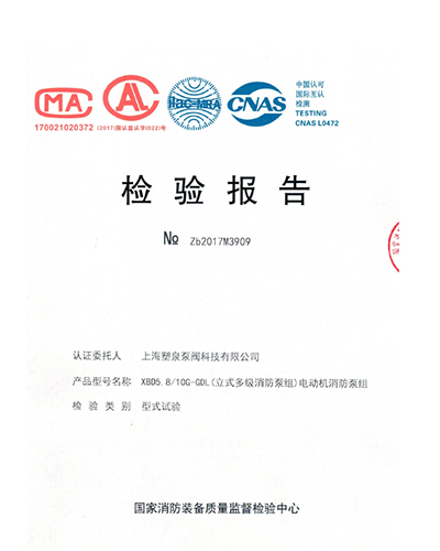 檢驗(yàn)報告